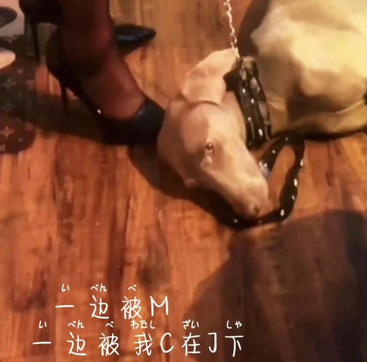 西檬之家m倾向是什么? 一