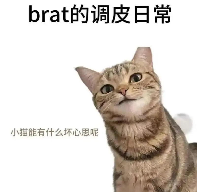西檬之家如何理解健康的ds关系 一