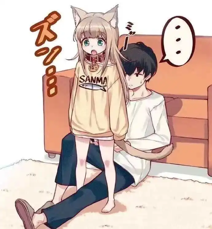 西檬之家k8猫系是什么?入门全解析 一