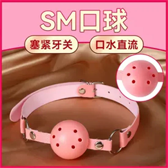 西檬之家k9犬系入门指南 一