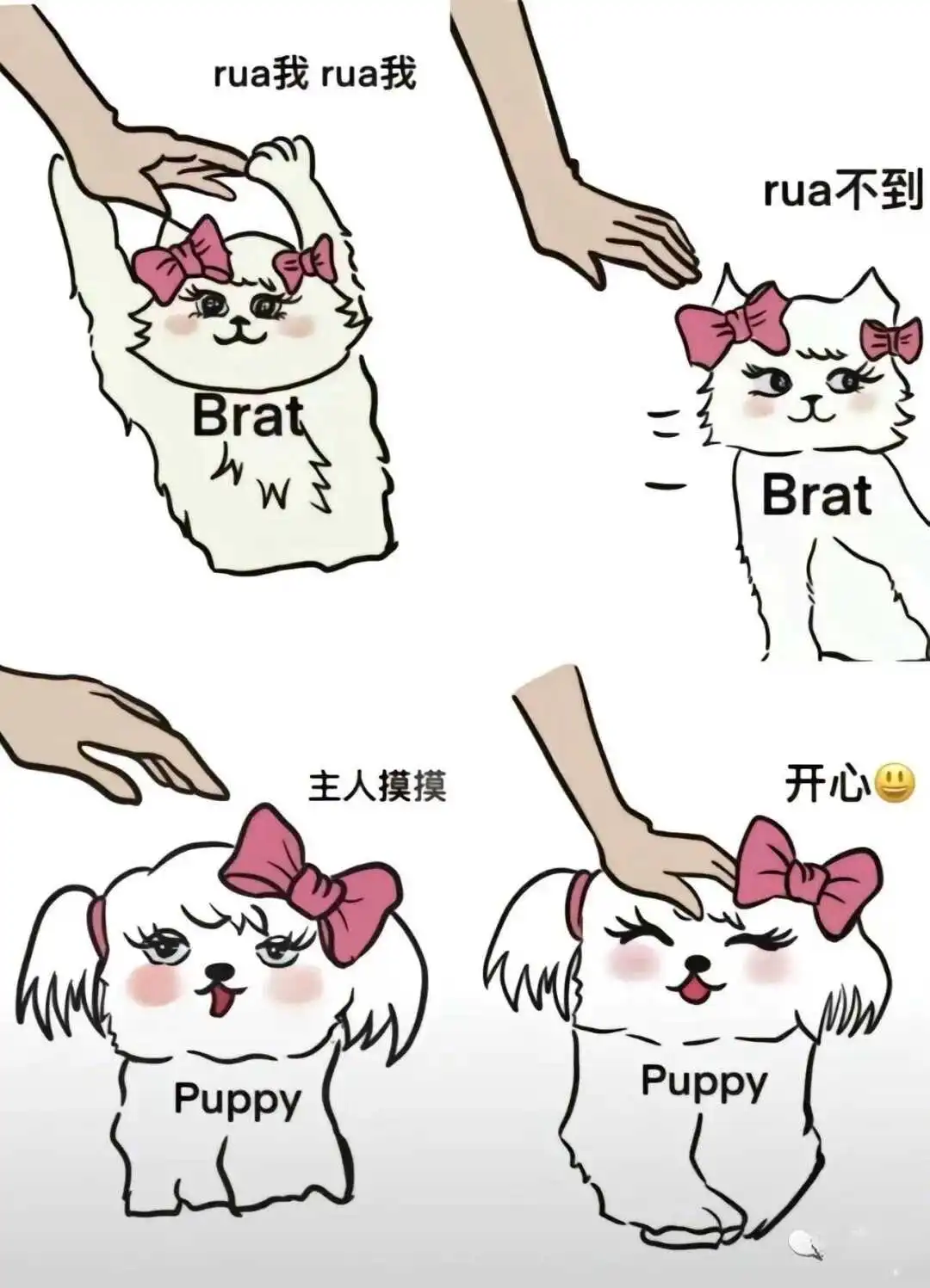 西檬之家字母圈m倾向入门指南 一