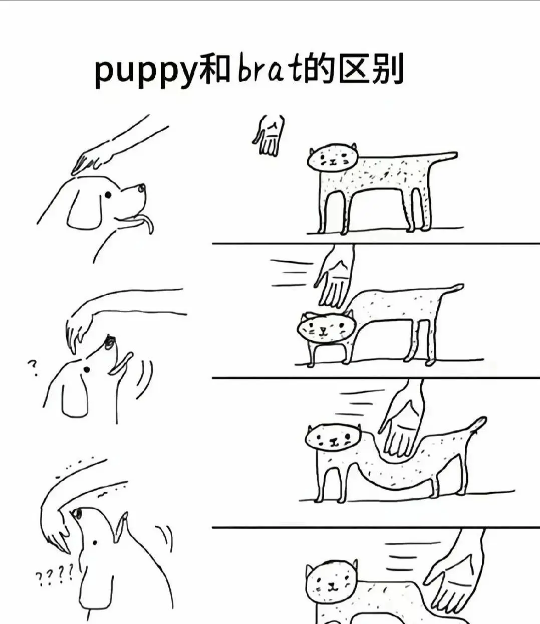 西檬之家字母圈新人如何入门? 一