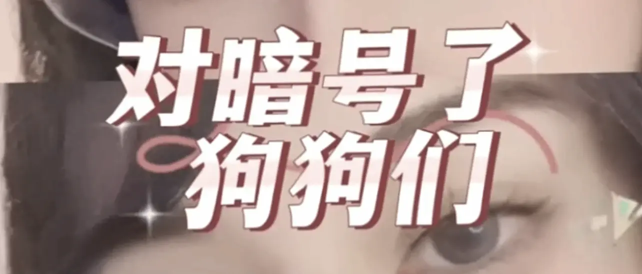 西檬之家BDSM入圈指南 一