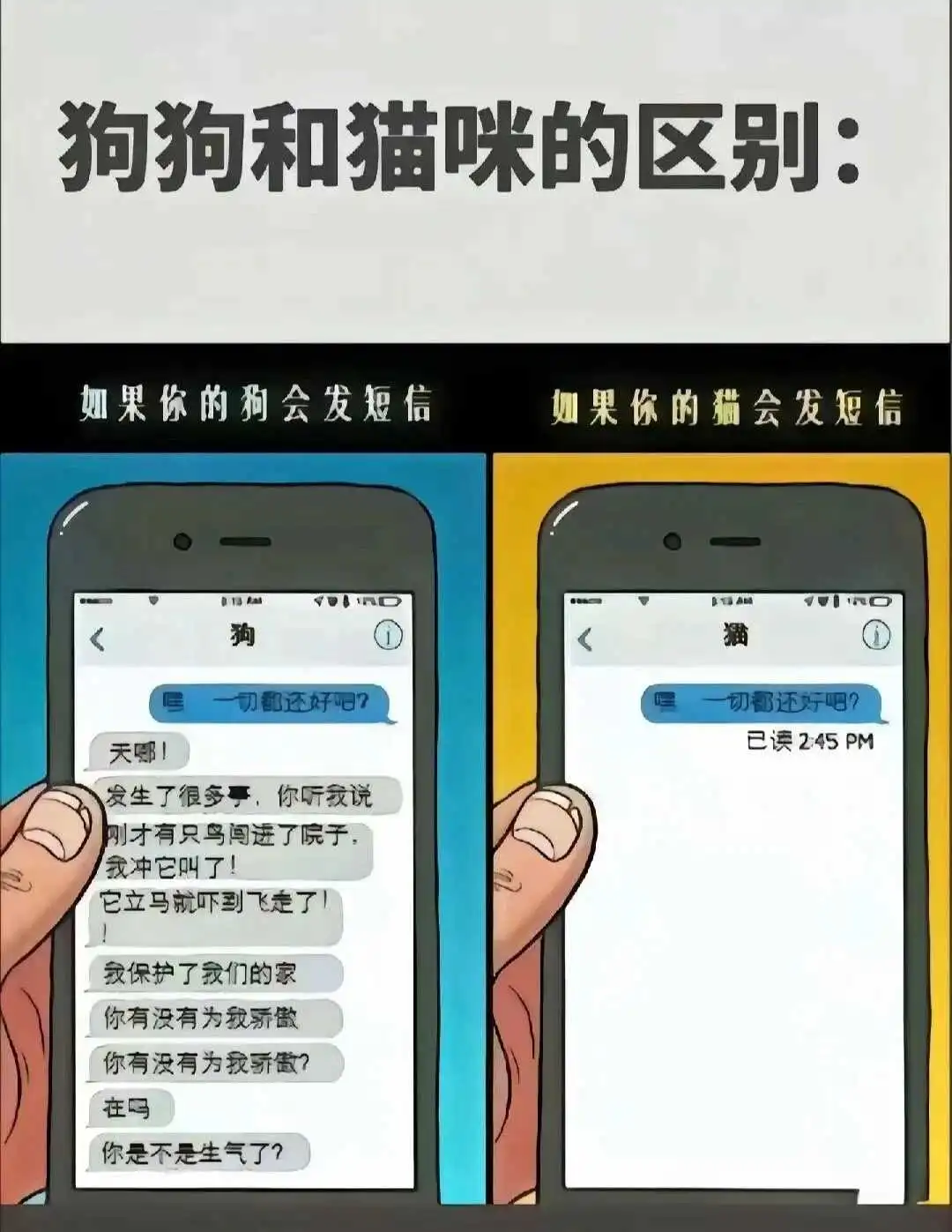 西檬之家Sub是什么?字母圈新人入圈指南 一