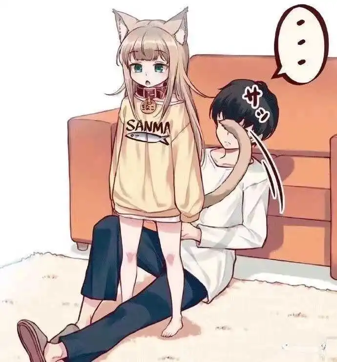 西檬之家k8猫系是什么意思? 一