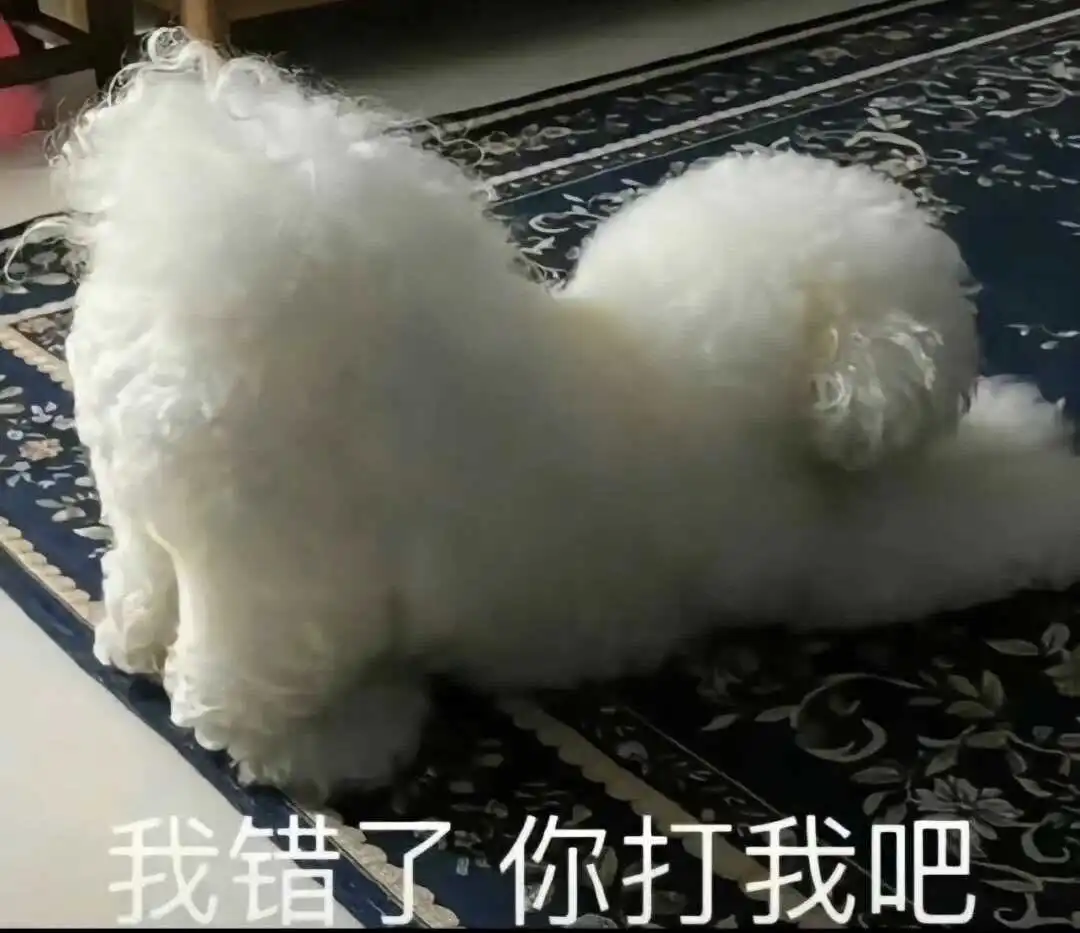 西檬之家BDSM是什么意思?字母圈新人必知 一
